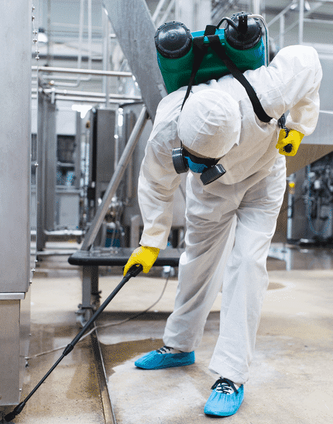 disinfestatore controlla l'area